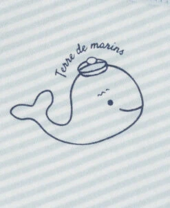 Ensemble Bébé 3 Pièces : Pyjama Velours, Body et Bavoir Bleu Ciel 15 Ensemble Bébé 3 Pièces : Pyjama Velours, Body et Bavoir Bleu Ciel -Terredemarins prod 9710 pack pueri bleu ciel namady 666x812 fc7ea0111e0b